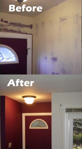 Interior Painting Naperville, painting walls darien, painting in hinsdale